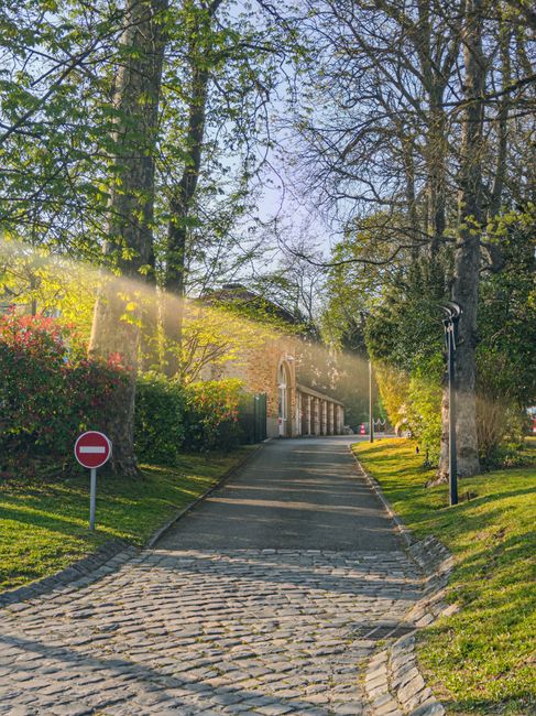 A gently sloping cobblestone driveway bordered by well-maintained grassy verges and lush green hedges leading toward a stone building with an arched doorway, set in a scenic outdoor environment illumi