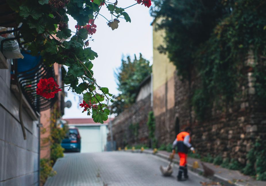 A gently sloping cobblestone driveway bordered by well-maintained grassy verges and lush green hedges leading toward a stone building with an arched doorway, set in a scenic outdoor environment illumi